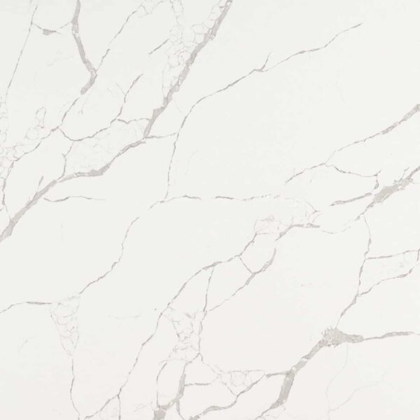 Calacatta Classic Polished